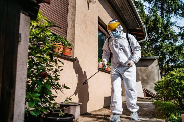 Best Mosquito Control Services  in Lake Murray Of Richland, SC
