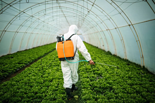Best Pest Prevention Services  in Lake Murray Of Richland, SC