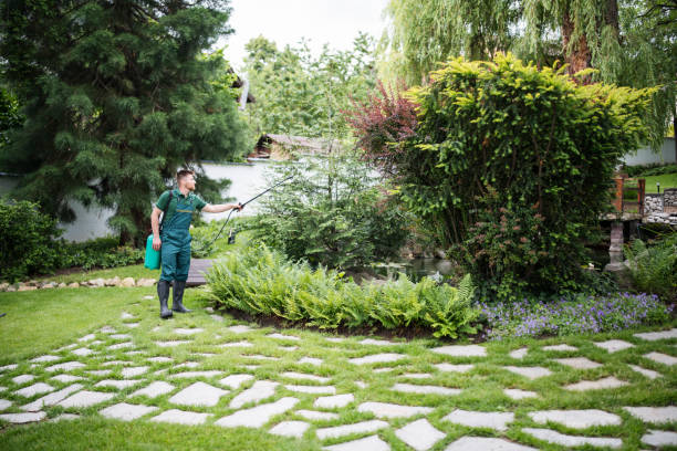 Best Pest Removal Services  in Lake Murray Of Richland, SC