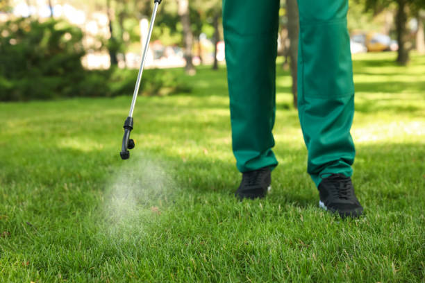 Best Affordable Pest Control Services  in Lake Murray Of Richland, SC