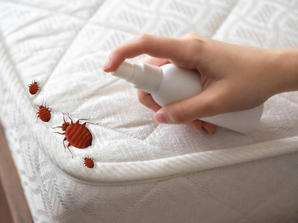 Best Flea Control Services  in Lake Murray Of Richland, SC